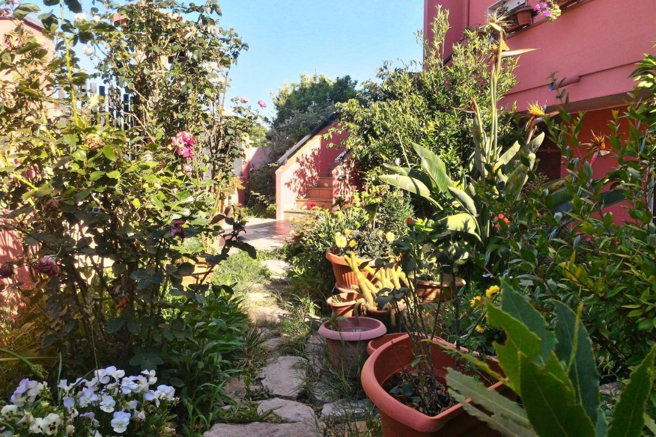 Corona Bed & Breakfast Sardara Exterior foto